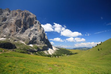 Sassolungo - Val Gardena