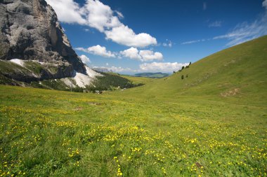 Sassolungo - Val Gardena