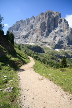 Sassolungo - Val Gardena