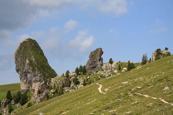 Pieralongia - alpe di cisles - Gröden — Stockfoto