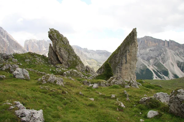 Pieralongia - Alpe di Cisles - Val Gardena — Zdjęcie stockowe