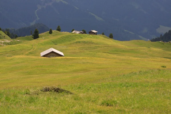 Alpe di Cisles - Val Gardena — Fotografie, imagine de stoc