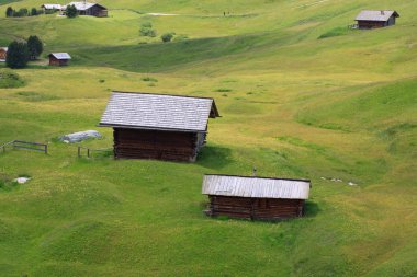 Alpe di Cisles - Val Gardena