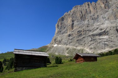 Sassolungo - Val Gardena