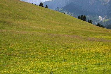 val Gardena çayır