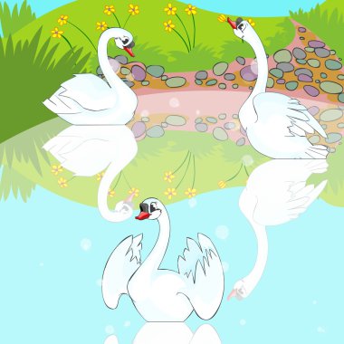 Swans swim in lake. clipart