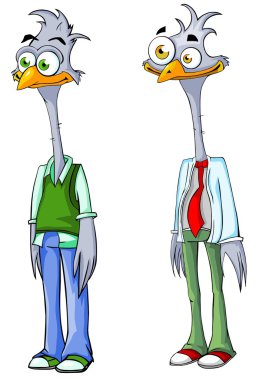 Two funny ostrich clipart