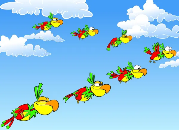 Funny flying parrots in the blue sky. — Stock Photo, Image