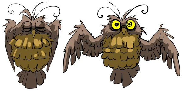 Funny owl — Stock Photo, Image