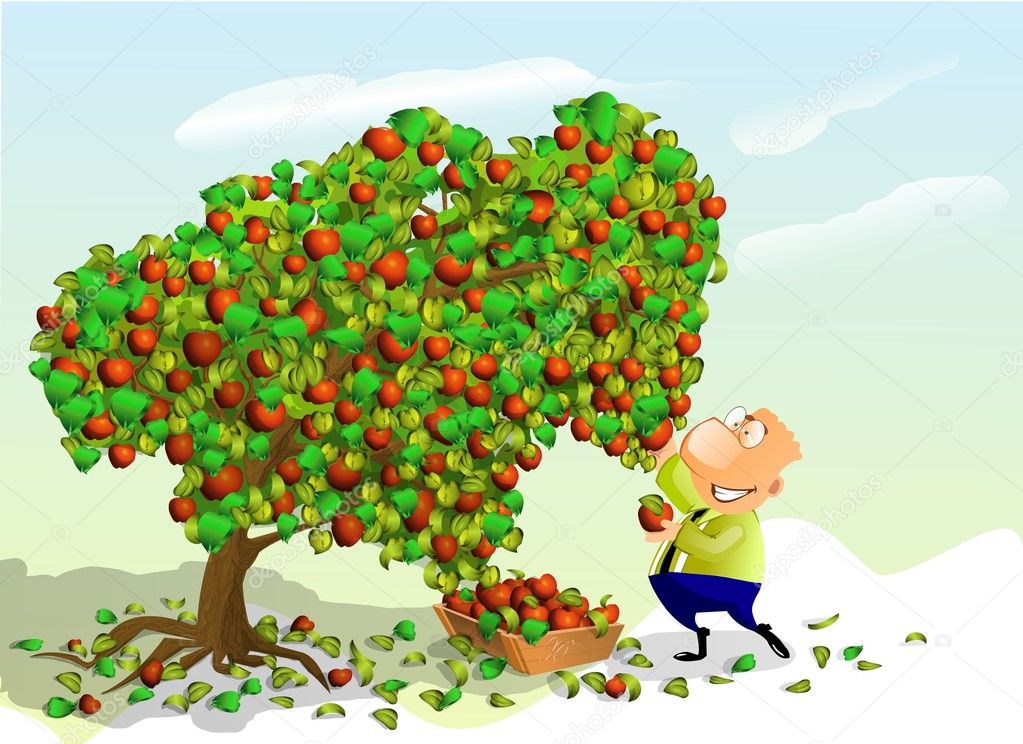 Man picking apples.