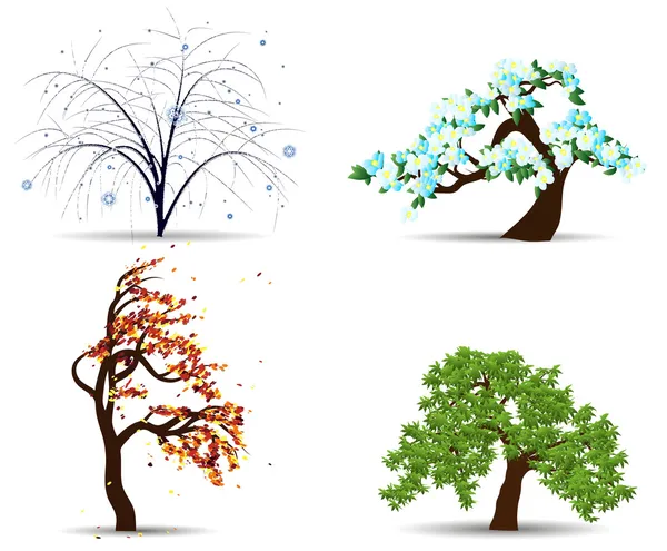 Vier seizoen bomen — Stockvector
