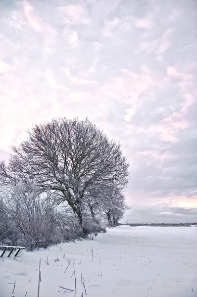 Zimní wonderland — Stock fotografie