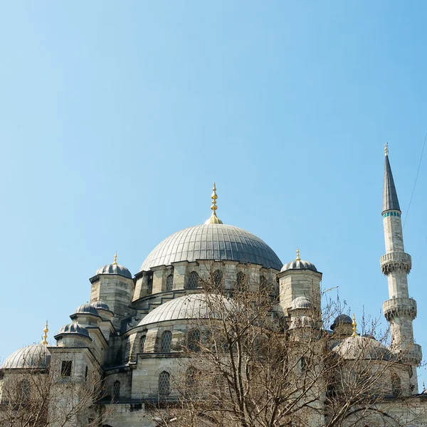 Mezquita Yeni cammii 02 — Foto de Stock