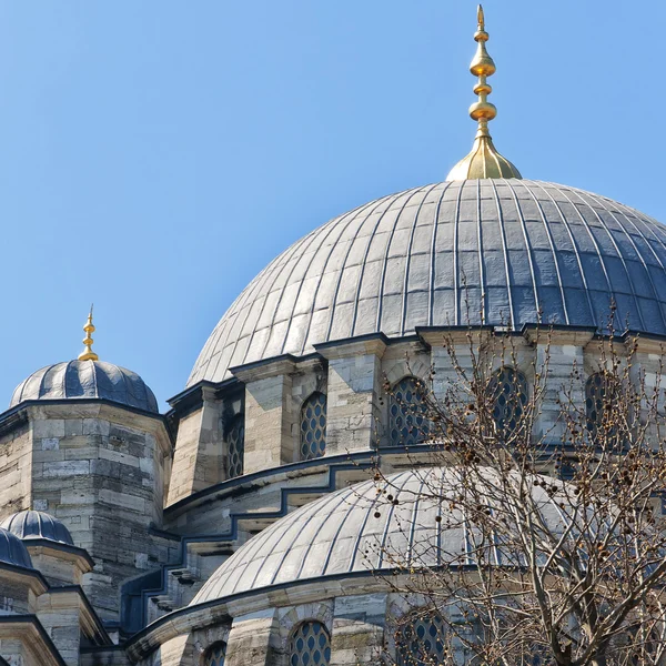 Mezquita Yeni cammii 03 — Foto de Stock