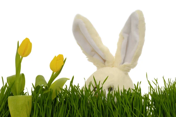 Tulipanes y conejo de Pascua — Stockfoto