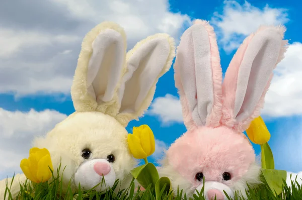 Easter bunnies and tulips — Stock Photo, Image