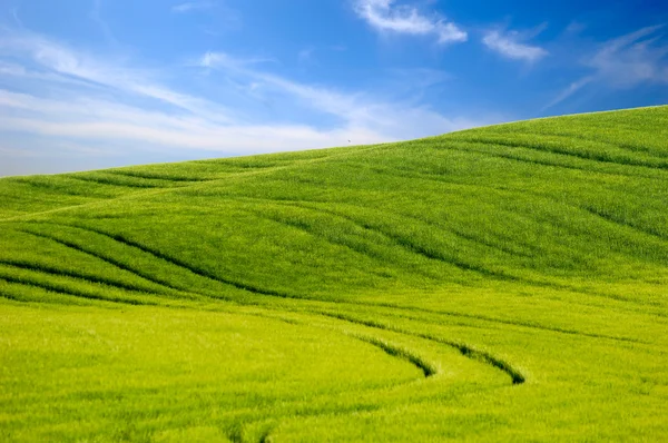 Зеленый холм и голубое небо — стоковое фото