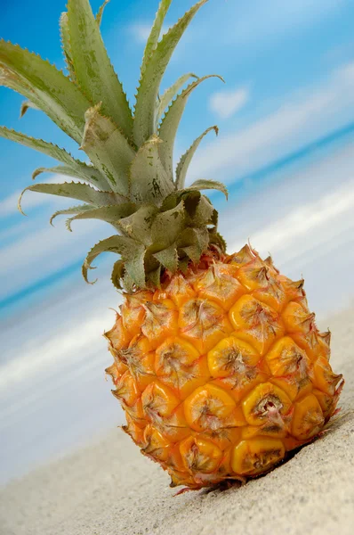 Ananas en exotische strand — Stockfoto