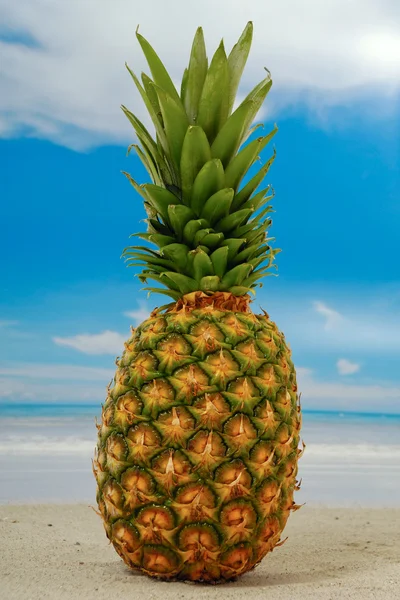 Ananas op een exotische strand met blauwe en bewolkte hemel — Stockfoto