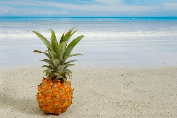 Pineapple and exotic beach — Stock Photo, Image