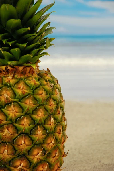 Ananas op een exotische strand met blauwe en bewolkte hemel — Stockfoto