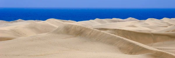 Sanddynen panorama 1:3 — Stockfoto