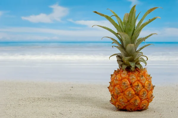 Pineapple and exotic beach