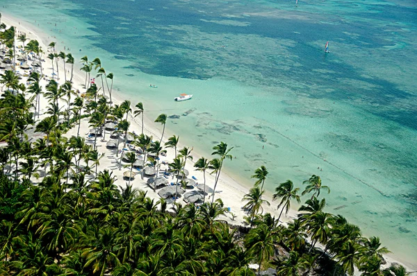 热带海滩和棕榈树和白色的沙滩 — 图库照片