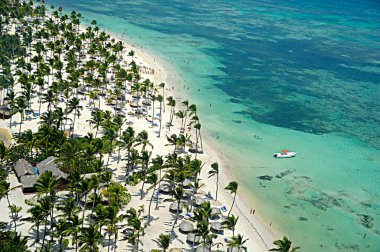 caribbean beach üzerinde uçan