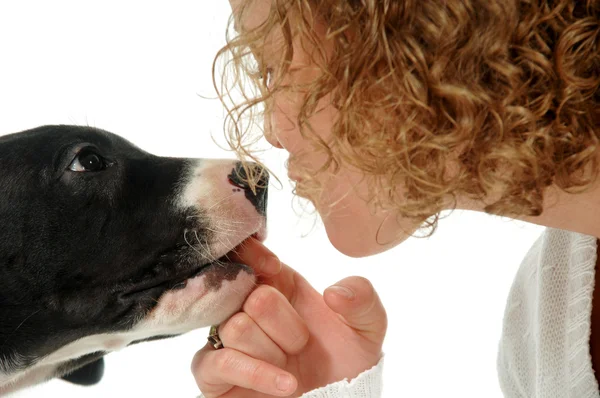 stock image Woman and dog is palying