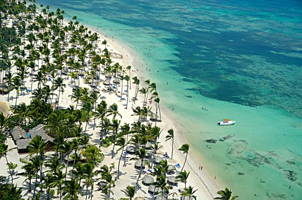 Летающие над Карибским пляжем — стоковое фото