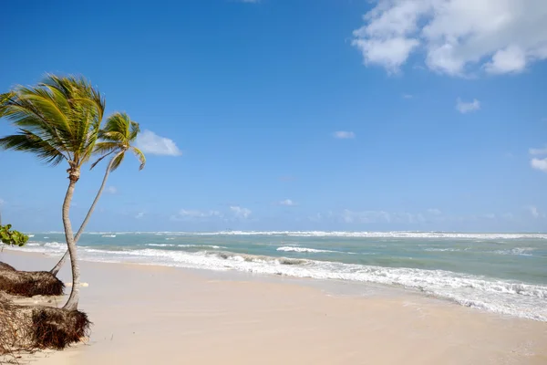 Strand in het tropische Caribisch gebied — Stockfoto