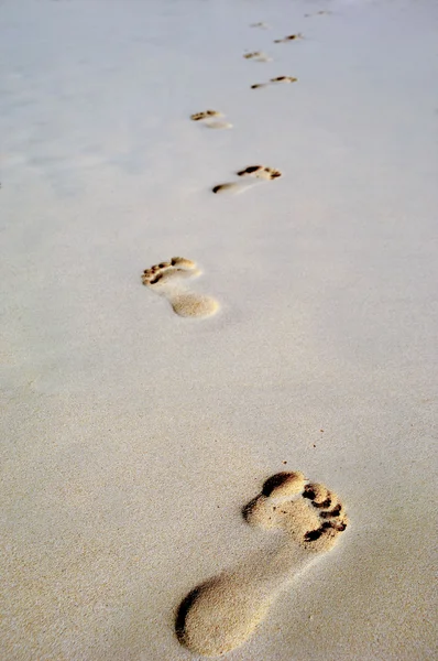 Pegada na areia na praia — Fotografia de Stock