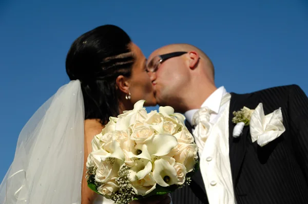 Bacio di nozze — Foto Stock
