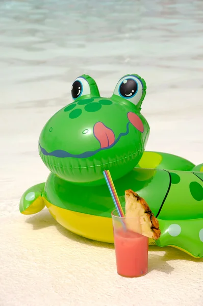 Kurbağa ve içecek — Stok fotoğraf