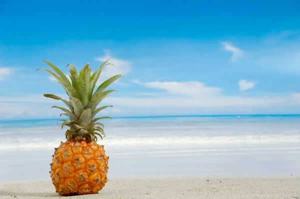 Ananas sur une plage exotique — Photo