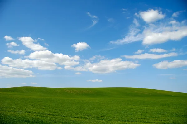 Zelené pole s modrou oblohou a mraky — Stock fotografie