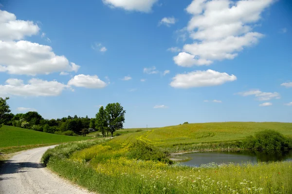 Landscape with lake and path — Stock Photo, Image