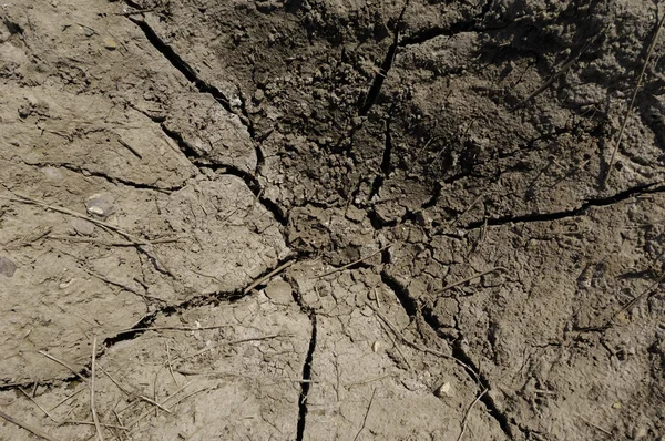 stock image Dry soil