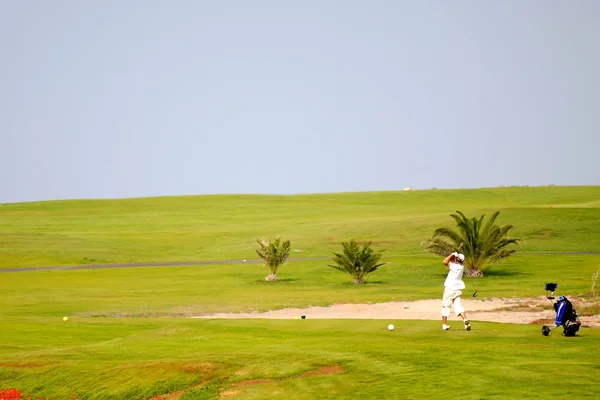Han spiller golf. – stockfoto