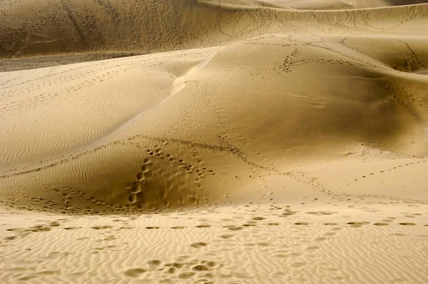 在沙的足印 — 图库照片