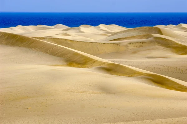 Dune de nisip — Fotografie, imagine de stoc