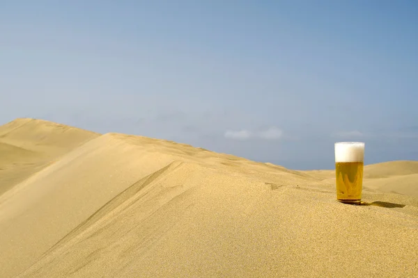 Bière dans le désert — Photo