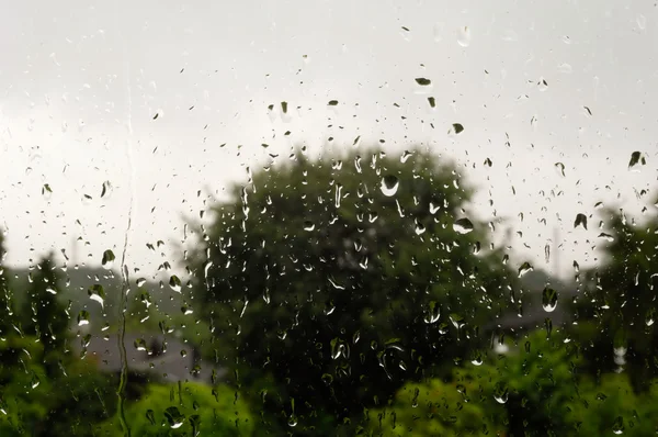 Regn på fönstret — Stockfoto