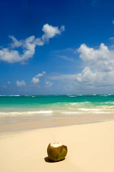 Kokos drink på exotiska beach — Stockfoto