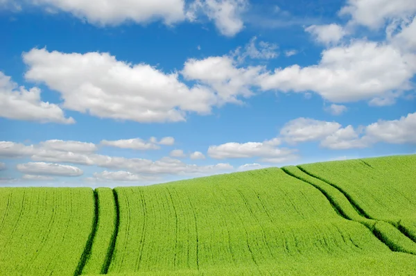 Zelený kopec a mraky — Stock fotografie