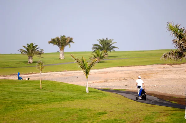 Golfçü yürüyor — Stok fotoğraf
