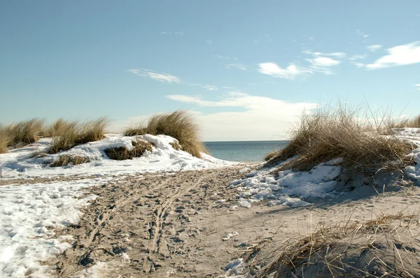 Strand van winter — Stockfoto