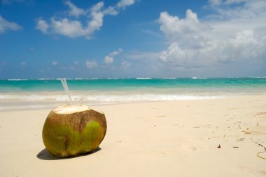 Coconot drink on exotic beach clipart