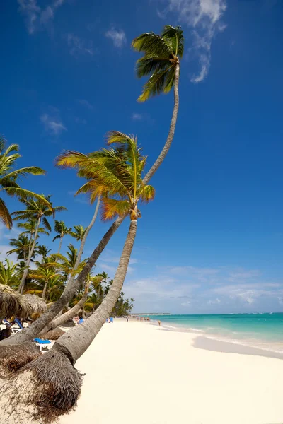 Egzotik plaj beyaz kum ile — Stok fotoğraf